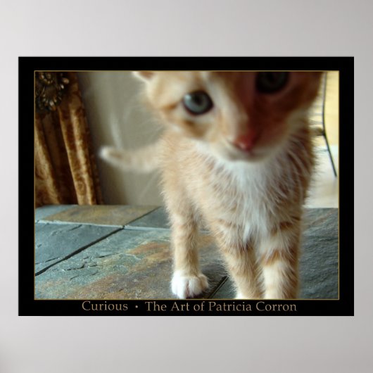 Poster Curieux (Devant)