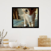 Poster Curieux (Cuisine)