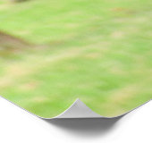 Poster Curieux Alpaca ~ imprimer (Coin)