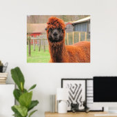 Poster Curieux Alpaca ~ imprimer (Bureau à domicile)