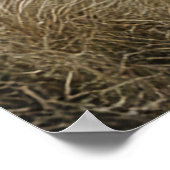 Poster Curieux Alpaca sous le soleil (Coin)