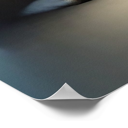 Poster Curieux Apes (Coin)