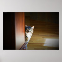 Curieux Chat,