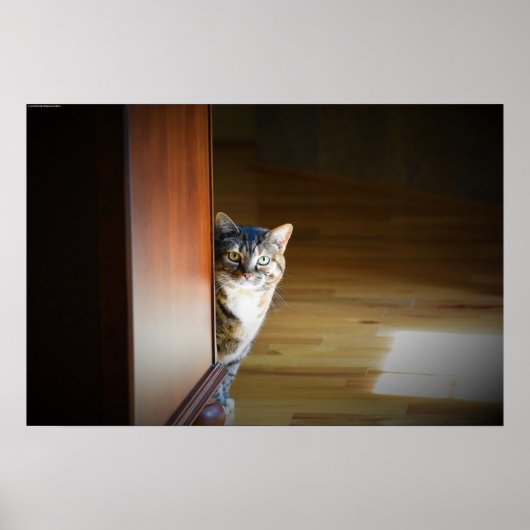 Poster Curieux Chat, (Devant)