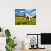 Poster Curieux Cheval dans une prairie alpine en été (Bureau à domicile)