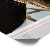 Poster Curieux Cheval regardant à travers une fenêtre de  (Coin)