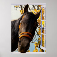 Curieux Cheval regardant à travers une fenêtre de