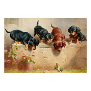 Poster Curieux Chiots Dachshund et une grenouille