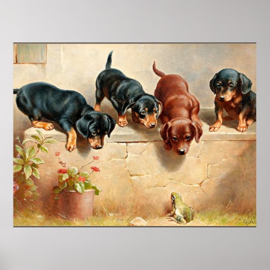 Poster Curieux Chiots Dachshund et une grenouille (Devant)