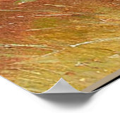 Poster Curieux Chiots Dachshund et une grenouille (Coin)