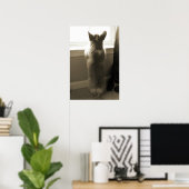 Poster Curieux Corgi (Bureau à domicile)