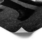 Poster Curieux de poisson d'or / Photo (Coin)