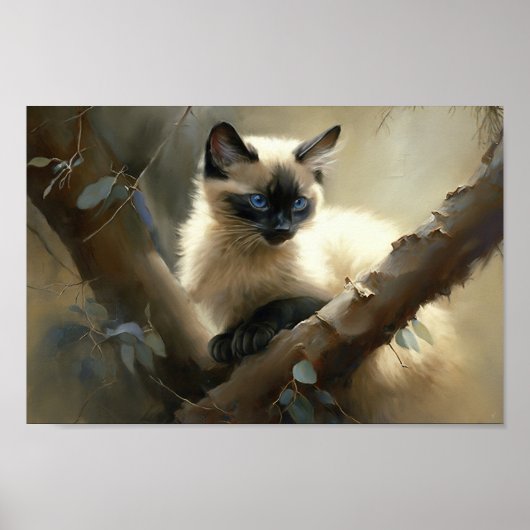 Poster Curieux grimpeur Siamese Kitten (Devant)