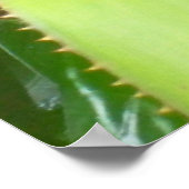 Poster Curieux Lizard (Coin)