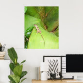 Poster Curieux Lizard (Bureau à domicile)