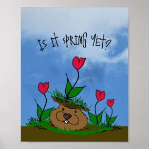 Poster Curieux marmotte à la recherche de printemps