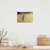 Poster Curieux Pronghorn Antelope Imprimer (Cuisine)