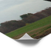 Poster Curieux Vaches 2 (Coin)