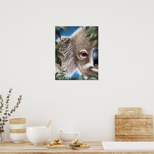 Poster Curios Koala (Cuisine)