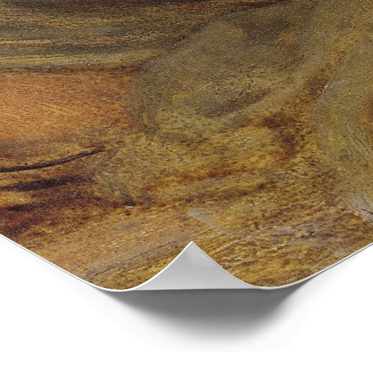 Poster Curiosité (Coin)