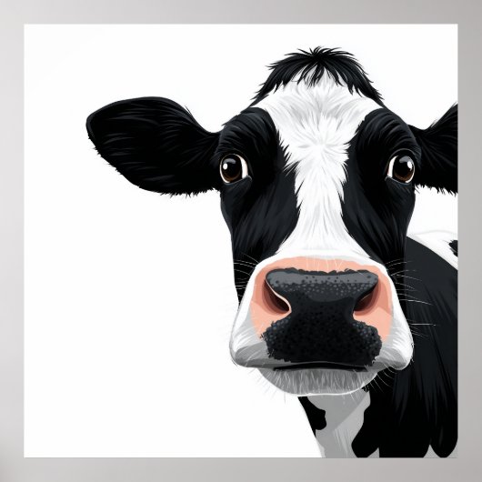 Poster Curiosité de vache en gros plan (Devant)