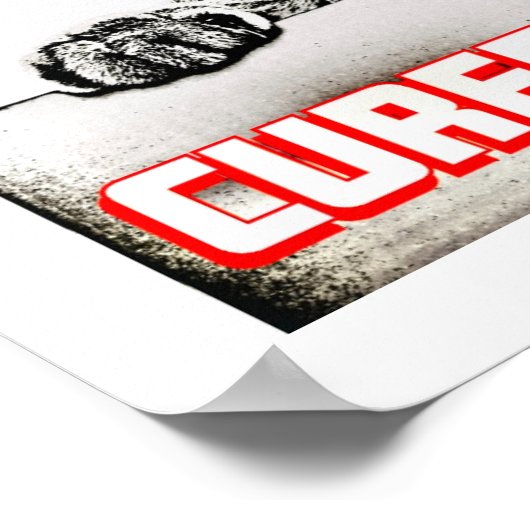 Poster Curiosité soignée Chat (Coin)