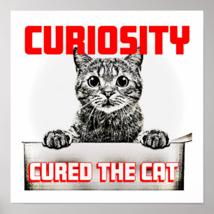 Poster Curiosité soignée Chat