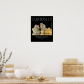 Poster CURIOSITY (Cuisine)