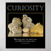 Poster CURIOSITY (Devant)