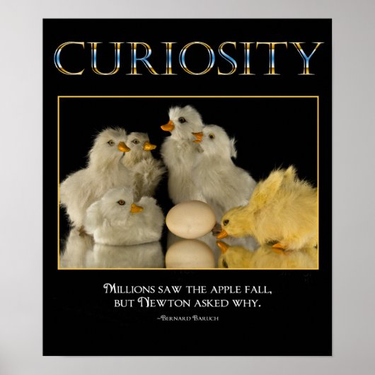 Poster CURIOSITY (Devant)