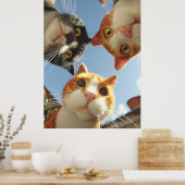 Poster Curious Cats Looking Down (Cuisine)