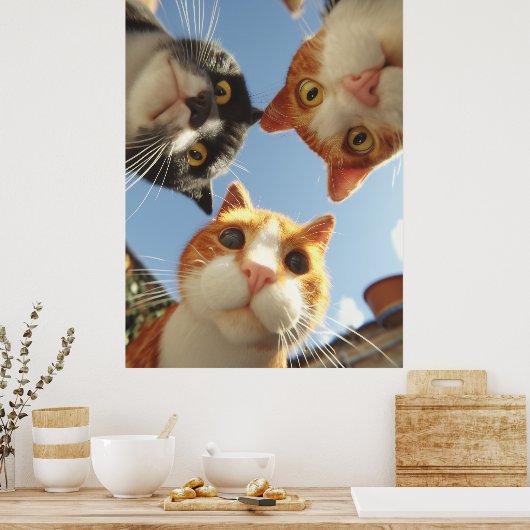 Poster Curious Cats Looking Down (Cuisine)