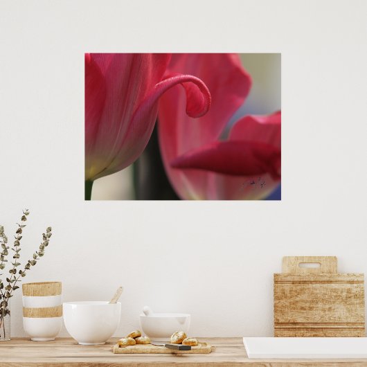 Poster Curl (Cuisine)