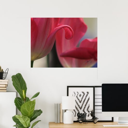 Poster Curl (Bureau à domicile)