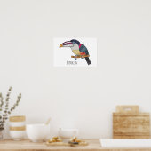 Poster Curl crested aracari bird cartoon (Cuisine)