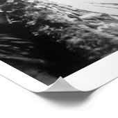 Poster Curley, de la tribu Crow, l'un des scouts de Custe (Coin)