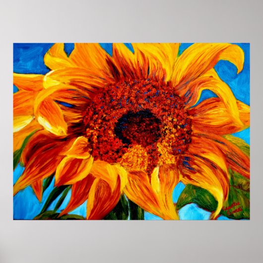 Poster CurlingDans le soleil (Devant)