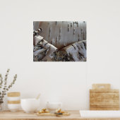 Poster Curly Birch Bark Tree Rustic (Cuisine)