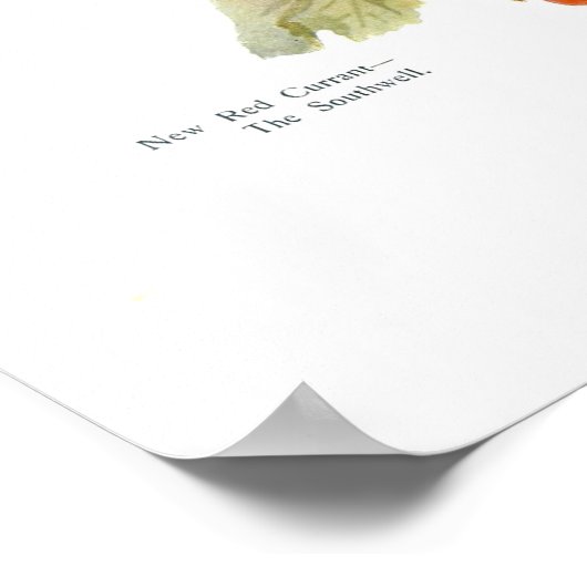 Poster Currant rouge 'Le Southwell' (Coin)