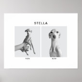 Poster Custom Pet Portrait | Then and Now (Devant)