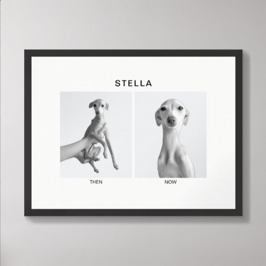 Poster Custom Pet Portrait | Then and Now
