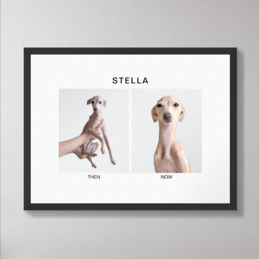 Poster Custom Pet Portrait | Then and Now
