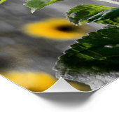 Poster Custom Quote Field of Sunflowers (Coin)