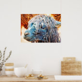 Poster Cute Alpaca bébé en bleu (Cuisine)