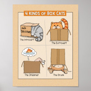 Poster Cute and Funny Cats in Boxes