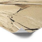 Poster Cute and Playful Kitten (Coin)