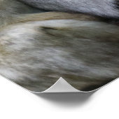 Poster Cute Ape Family Group Hug Photograph (Coin)