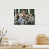 Poster Cute Ape Family Group Hug Photograph (Cuisine)