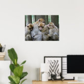 Poster Cute Ape Family Group Hug Photograph (Bureau à domicile)