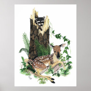 Poster Cute Baby Whitetail Deer Fawn et Raccoon Imprimer